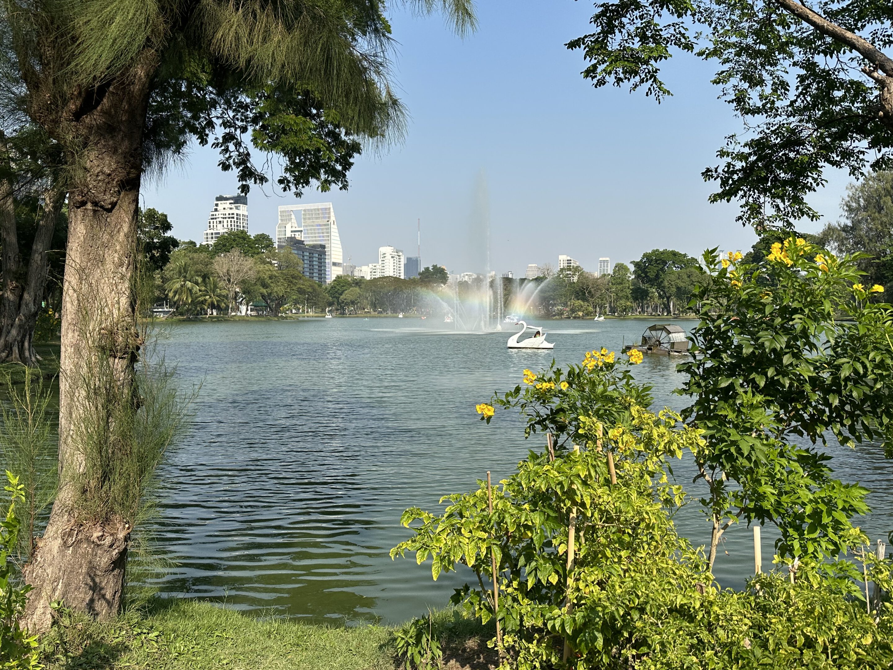 Reisetipps für Bangkok - Lumphini Park