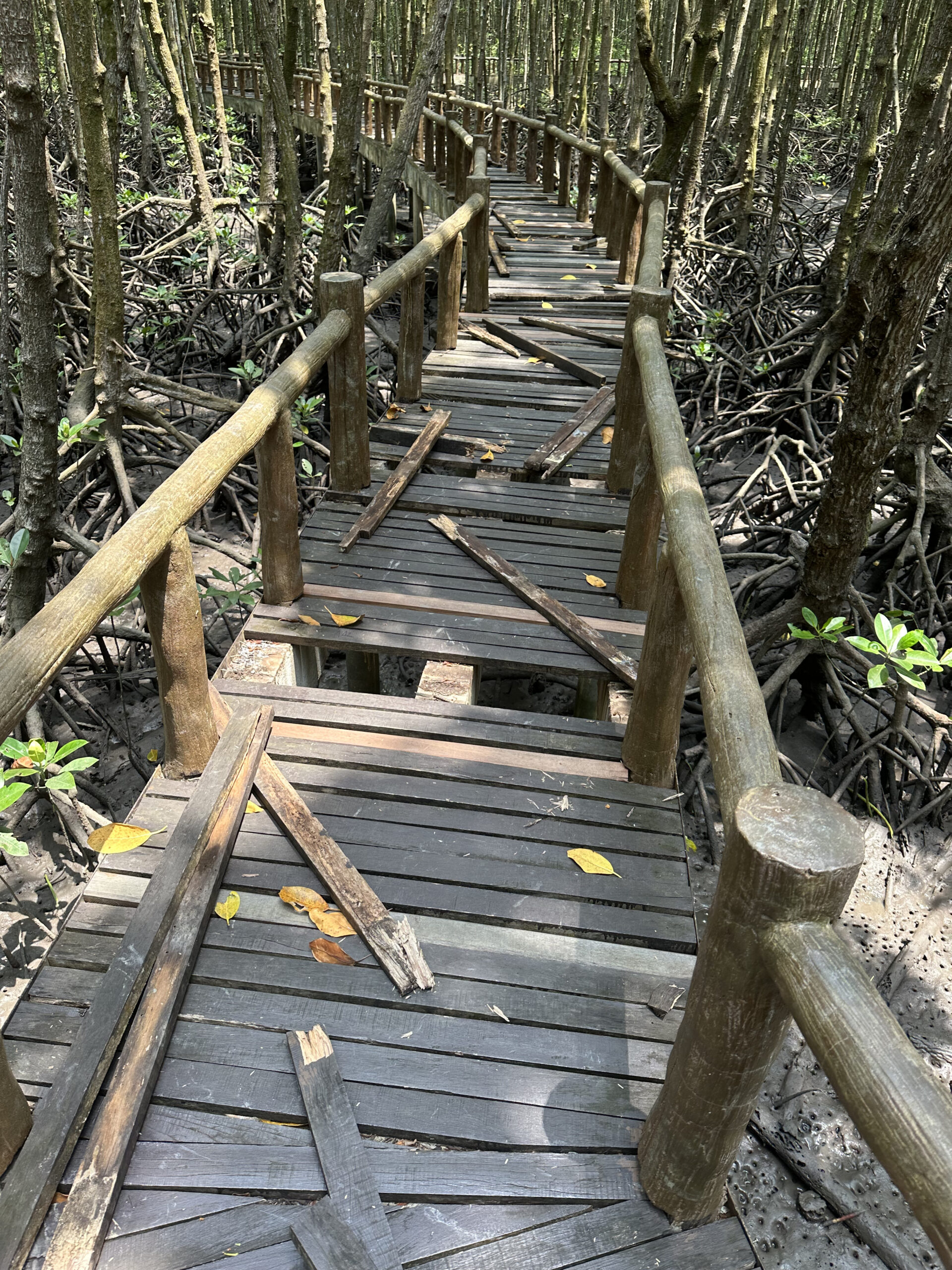 Von Bangkok nach Ko Tao