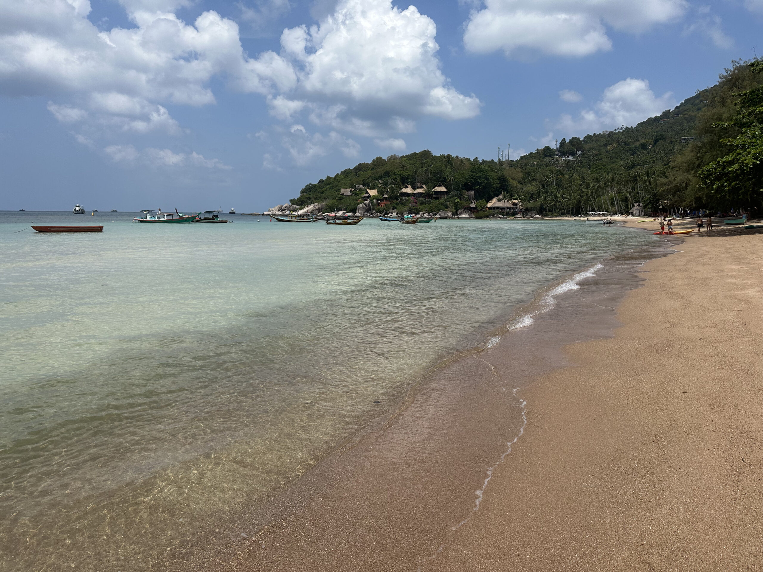 Highlights auf Ko Tao Sairee Beach