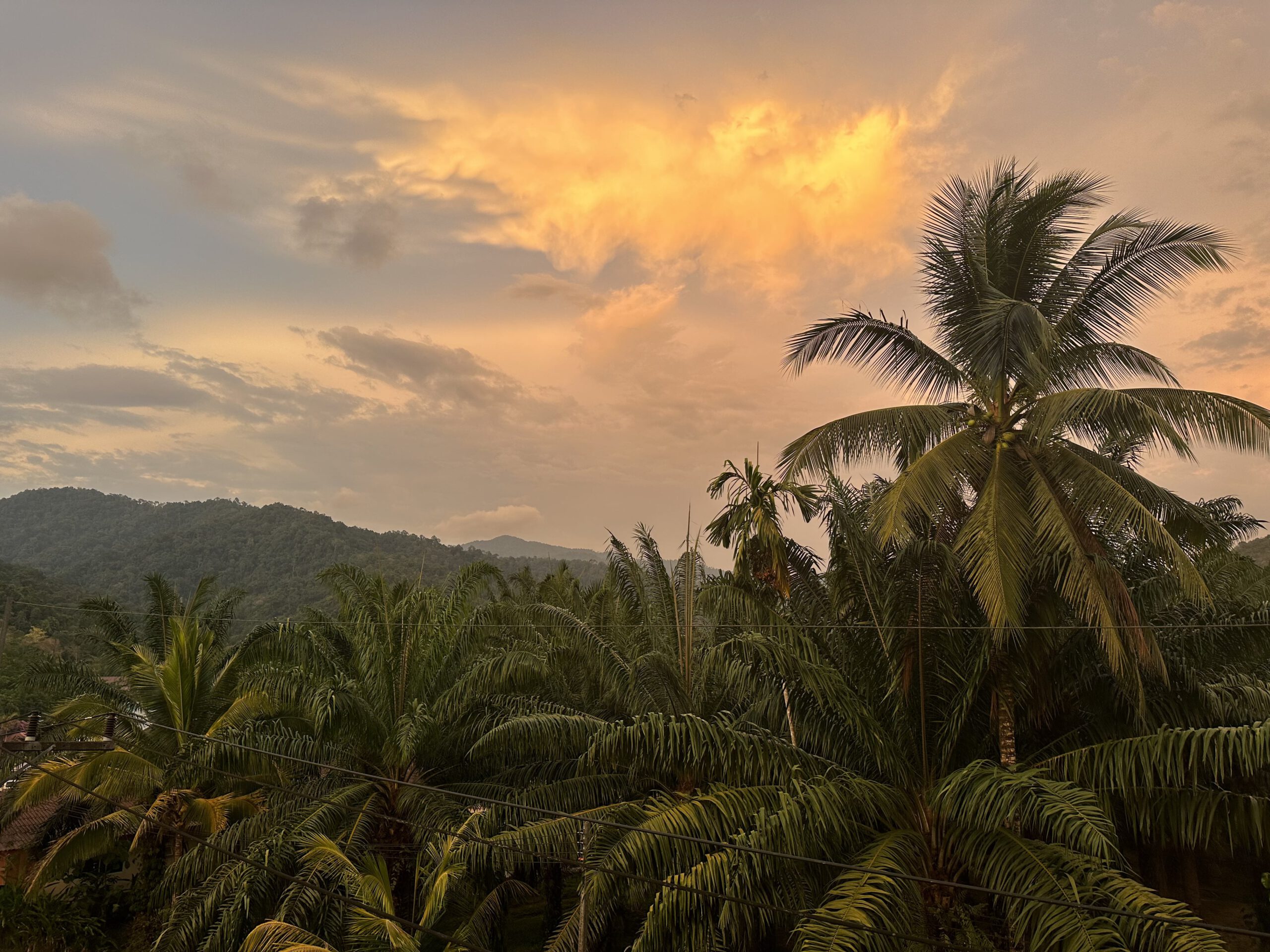 Sonnenuntergang in der Unterkunft am Khao Sok