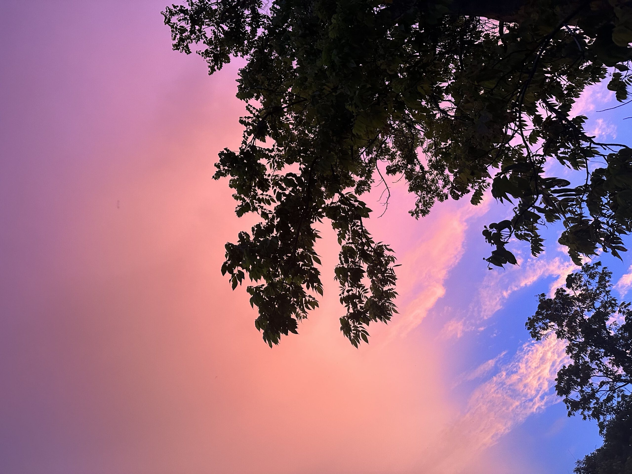 Rose Wolken auf Ko Lipe bei Sonnenuntergang